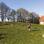 Per la scuola, una visione di lungo periodo