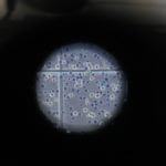 Cosa significa vaccino?