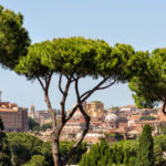 Là, tra gli alberi, la città è salva