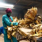 Il futuro prossimo di un terzo del pianeta