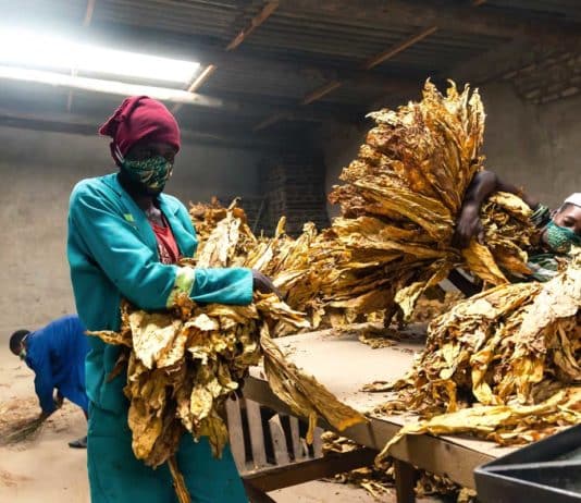 Il futuro prossimo di un terzo del pianeta