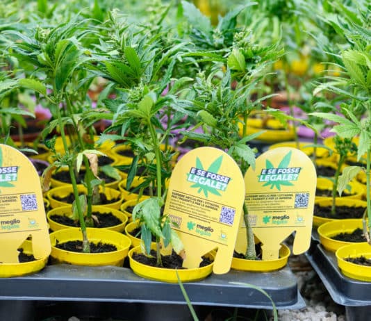 Falla girare, la firma per il referendum