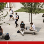 Come ridare dignità a scuola e atenei