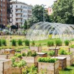 Quale futuro per l’economia circolare