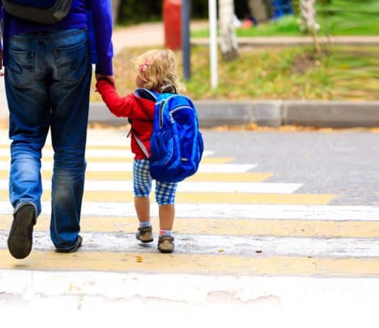 Cercasi asilo (nido)