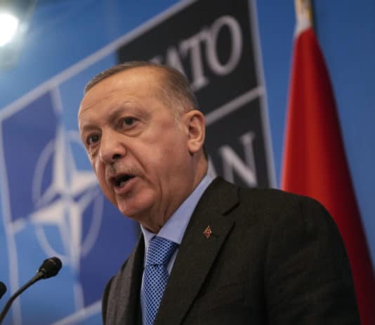 Il dittatore coccolato