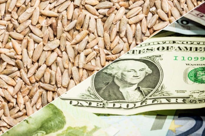 Oat price background. Food crisis. Wheat price raising. Food cos