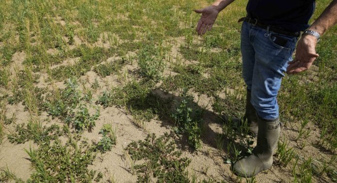 Climate EU Italy Drought Rice