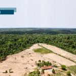 Tentacoli canadesi sull’Amazzonia