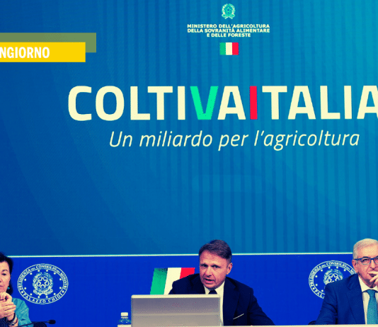 Salari giù, ministri su: il teatrino romano davanti alla voragine Ocse