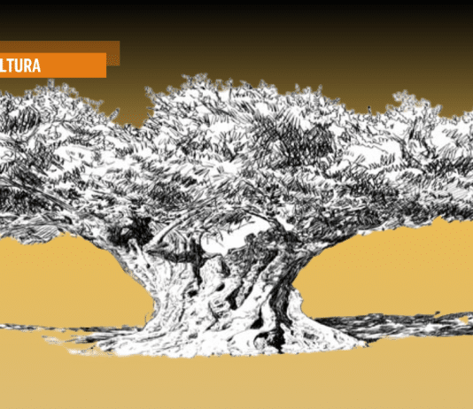 La Palestina e il diritto al cibo. Il primo rapporto Onu a fumetti della storia… e forse anche l’ultimo