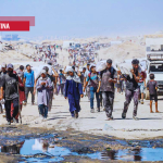 Faten Elwan: A Gaza è un genocidio in diretta