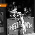 Perché leggere ancora, anche se i libri non fermano i proiettili