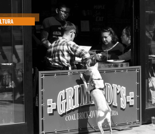 Perché leggere ancora, anche se i libri non fermano i proiettili