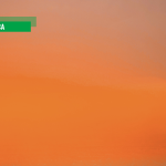 Se Meloni dovesse tacere sulle minacce di Israele alla Flotilla, blocco dei porti e sciopero generale