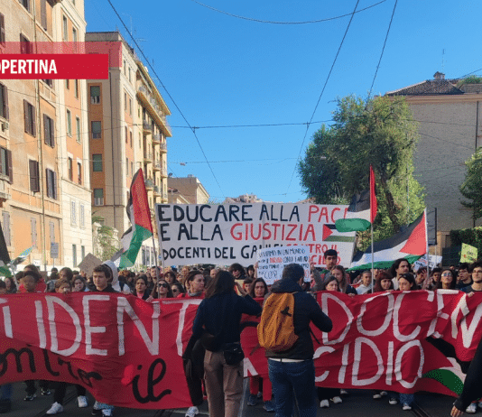 I nuovi partigiani della democrazia