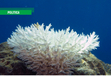 Contro la disinformazione climatica: il diritto di sapere la verità sul pianeta che cambia