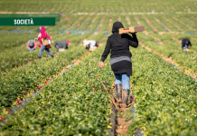 Le invisibili. Braccia sfruttate dall’agricoltura