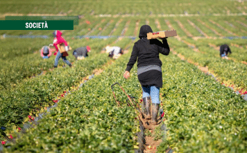 Le invisibili. Braccia sfruttate dall’agricoltura