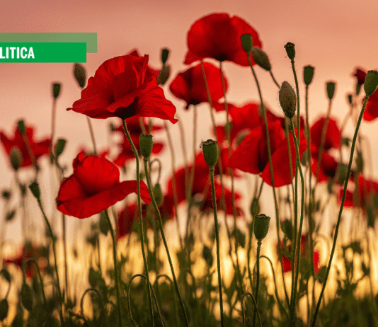 Politica e sentimento a sinistra. Una storia da ricostruire