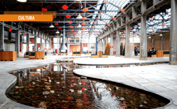 Il soffitto di cemento dell’architettura