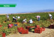 Giovanni Mininni (Flai Cgil): Il mancato superamento di ghetti agricoli è una scelta politica inaccettabile
