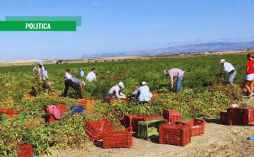 Giovanni Mininni (Flai Cgil): Il mancato superamento di ghetti agricoli è una scelta politica inaccettabile
