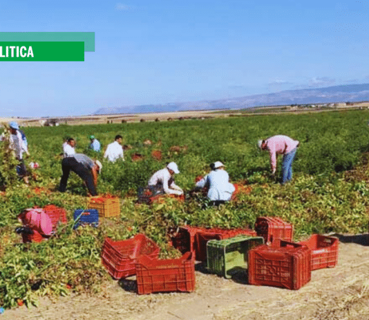 Giovanni Mininni (Flai Cgil): Il mancato superamento di ghetti agricoli è una scelta politica inaccettabile