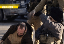 Dove sono adesso quelli che ridevano, anzi si sbellicavano?