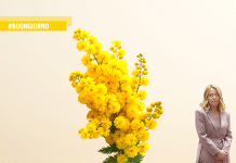 Buon 8 Marzo, Meloni. Ora rimetti a posto i danni