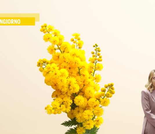 Buon 8 Marzo, Meloni. Ora rimetti a posto i danni