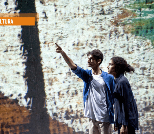 Come gli uccelli, la verità sulla ferocia di Israele contro la Palestina