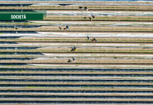 Il caporalato ha ucciso di nuovo ma è un crimine che non fa notizia perché è funzionale al capitalismo