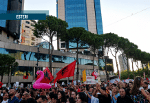 La rivolta dei fenicotteri riapre una ferita generazionale