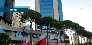 A che punto è la Rivoluzione dei fenicotteri in Albania