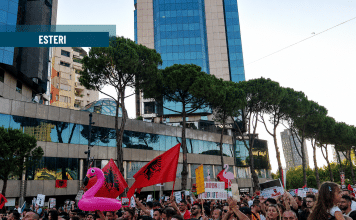La rivolta dei fenicotteri riapre una ferita generazionale