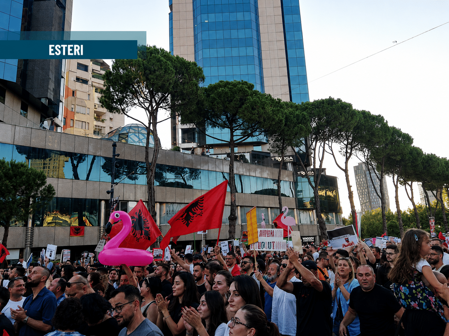Manifestanti albanesi protestano contro l'uso delle terre, con un simbolo di fenicottero, in una piazza di Tirana