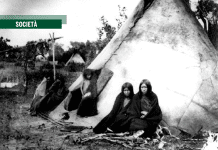 Donald Hatch, Orso nero, leader Arapaho «un ponte tra la resistenza palestinese, indiana»