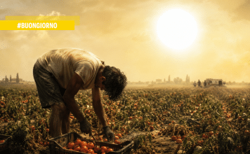 “Al di là della provenienza”, scrive il sindaco