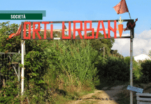 Livorno, agli Orti urbani germoglia il bene comune