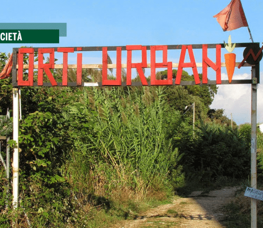 Livorno, agli Orti urbani germoglia il bene comune
