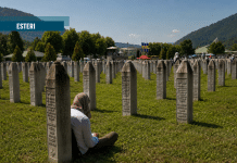 Anatomia della violenza istituzionalizzata. Il caso Mladić