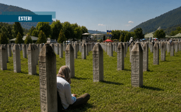 Anatomia della violenza istituzionalizzata. Il caso Mladić