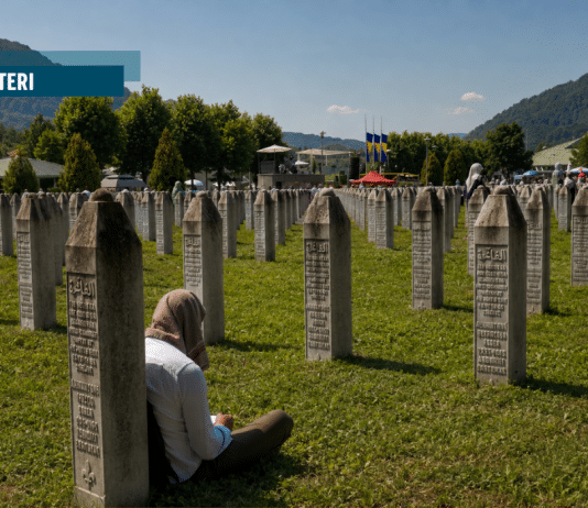 Anatomia della violenza istituzionalizzata. Il caso Mladić