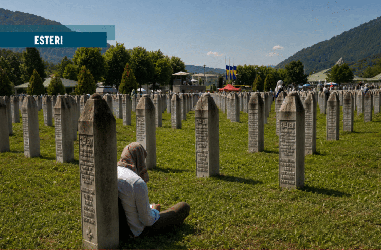 Anatomia della violenza istituzionalizzata. Il caso Mladić