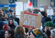 Avanzata dell’Afd in Sassonia: perché non dobbiamo farci prendere dal panico